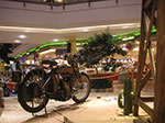 Photos