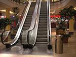 PICT0202.jpg