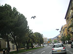 PICT0080.jpg