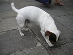 PICT0192.jpg