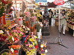PICT0203.jpg