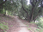 PICT0259.jpg