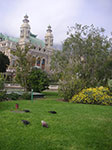 PICT0334.jpg