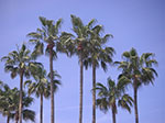 PICT0354.jpg