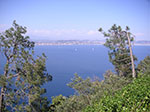 PICT0448.jpg
