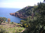 PICT0466.jpg