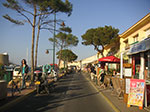 PICT0481.jpg