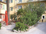 PICT7219.jpg