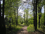 PICT7341.jpg
