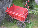 PICT7356.jpg