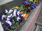 PICT7378.jpg