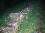 PICT7426.jpg