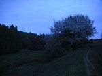 PICT7430.jpg