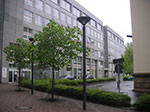 PICT7436.jpg