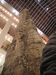 PICT7491.jpg