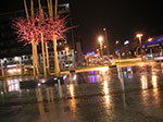PICT7493.jpg