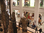 PICT7496.jpg