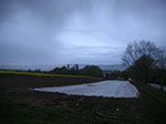 PICT7524.jpg