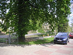 PICT7640.jpg