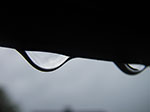 IMGP0127.jpg