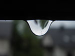 IMGP0170.jpg
