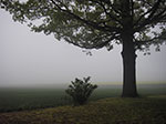 IMGP0292.jpg
