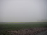 IMGP0294.jpg