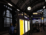 IMGP0311.jpg
