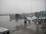 IMGP0313.jpg