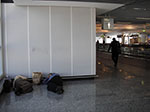 IMGP0318.jpg