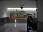 IMGP0371.jpg