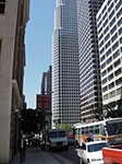 IMGP0419.jpg