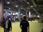 IMGP0437.jpg