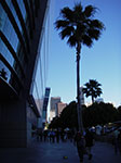 IMGP0507.jpg