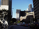 IMGP0514.jpg