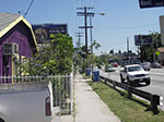 IMGP0591.jpg