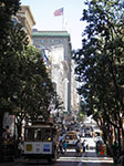 IMGP0738.jpg