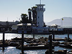 IMGP0826.jpg