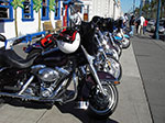 IMGP0890.jpg