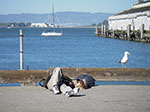 IMGP0893.jpg