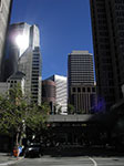 IMGP0911.jpg