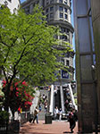 IMGP0985.jpg