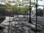 IMGP1097.jpg