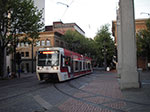 IMGP1111.jpg