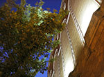 IMGP1145.jpg