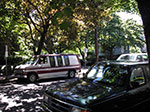 IMGP1164.jpg