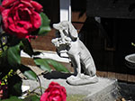 IMGP1185.jpg