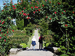 IMGP1205.jpg