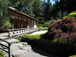 IMGP1214.jpg