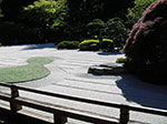 IMGP1216.jpg